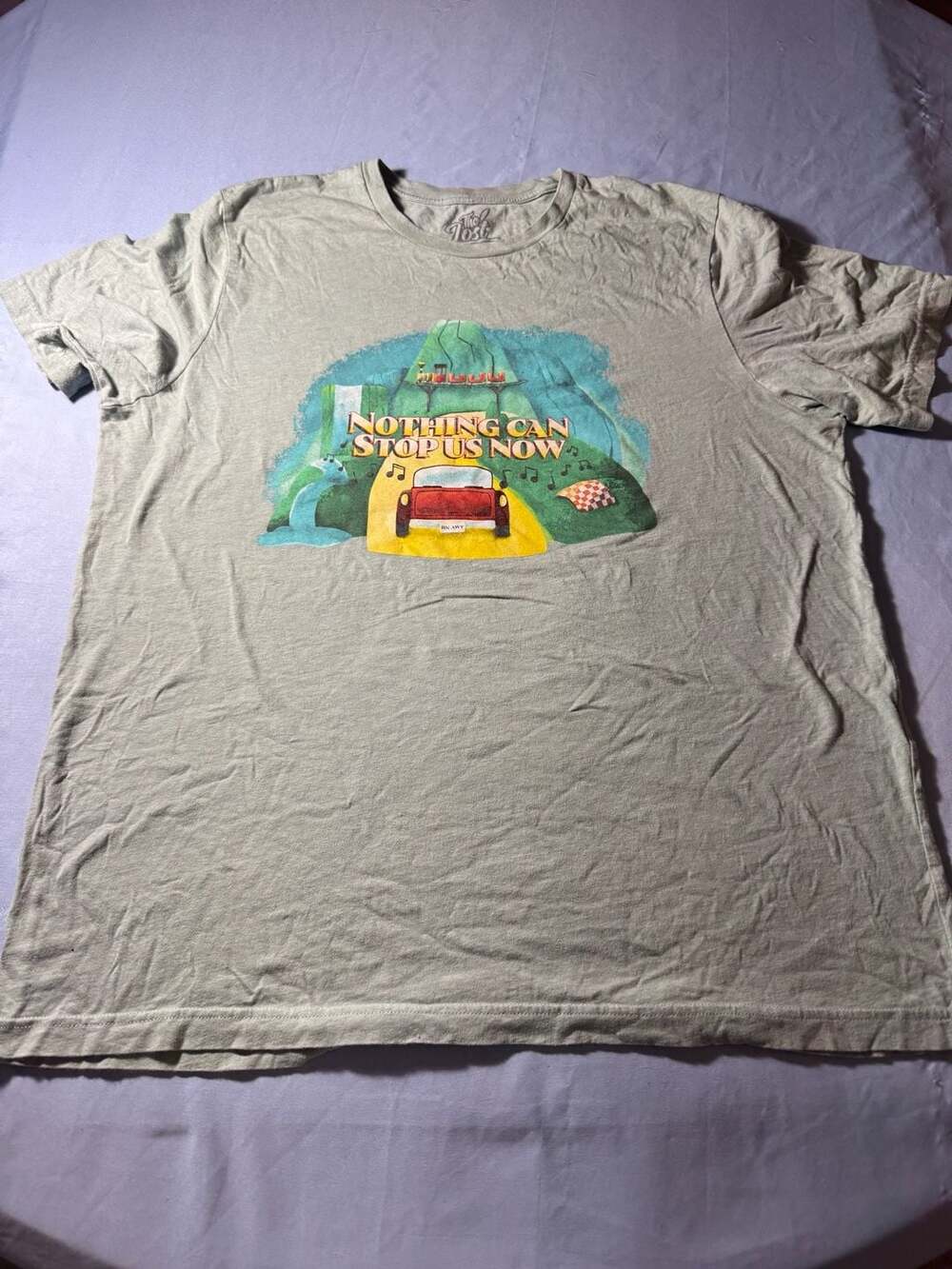 The Lost Bros Nothing Can Stop Us Now Gray Shirt XL